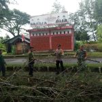 Respon Cepat TNI-Polri dan BPBK Bersihkan Pohon Tumbang, Arus Lalu Lintas Tetap Aman