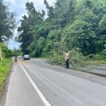 Respon cepat polsek setia bakti atasi pohon tumbang di jalan Nasional km 132
